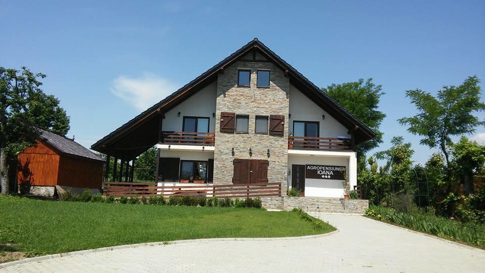 Agropensiunea Ioana Lisaura Exterior foto