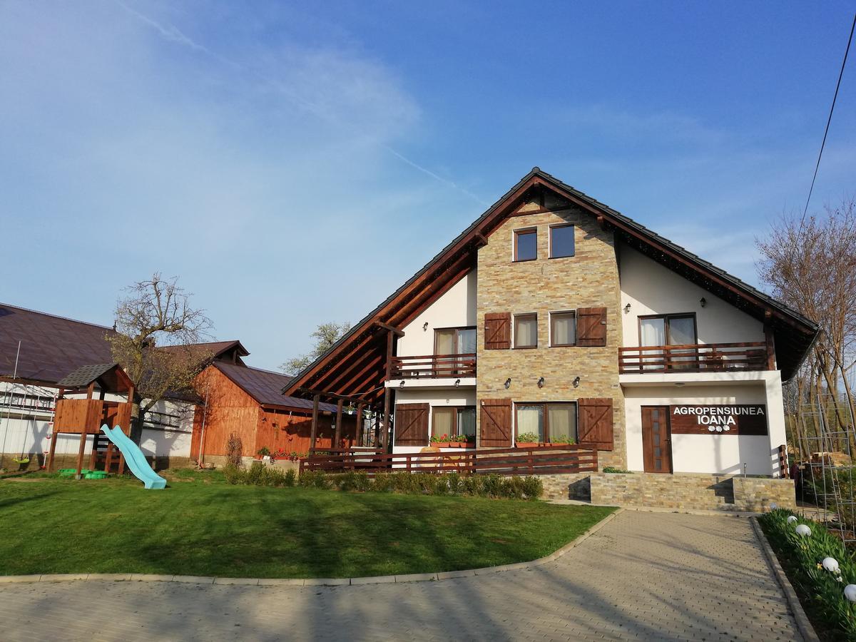 Agropensiunea Ioana Lisaura Exterior foto