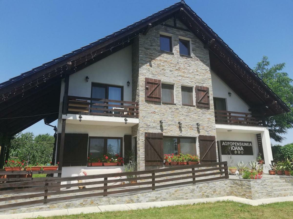 Agropensiunea Ioana Lisaura Exterior foto